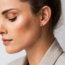 Load image into Gallery viewer, TI SENTO - Milano Earrings 7811SR