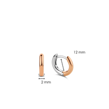 Load image into Gallery viewer, TI SENTO - Milano Earrings 7811SR
