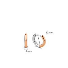 Load image into Gallery viewer, TI SENTO - Milano Earrings 7811SR
