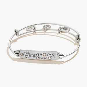 Harry Potter™ 'The Chosen One' Inline Charm Bangle